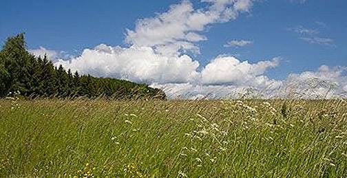 Selke- & Bodetalstieg Selke- & Bodetalstieg