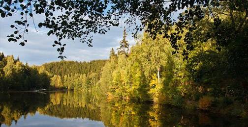 Wandern auf dem Selketal Wandern auf dem Selketal