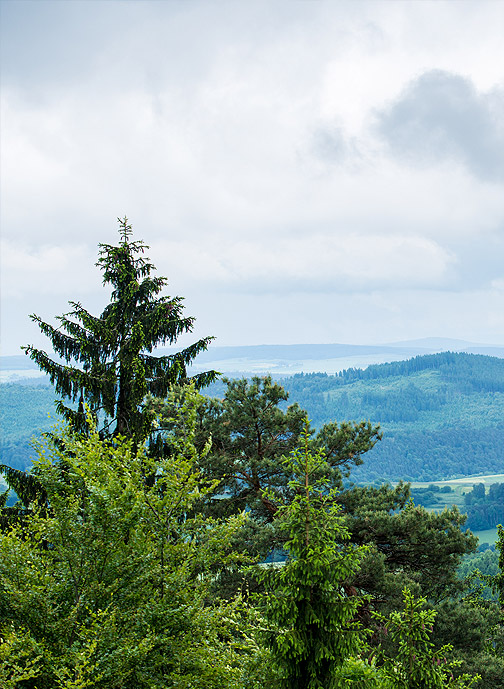 Aussicht Harz Aussicht Harz