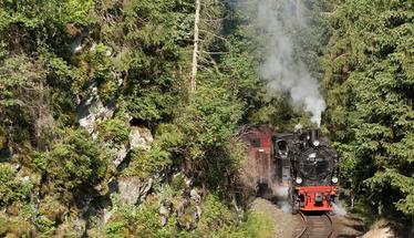 Tagesfahrten nach Wernigerode