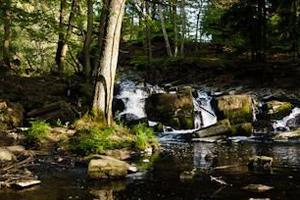 Wildromantisches Selketal