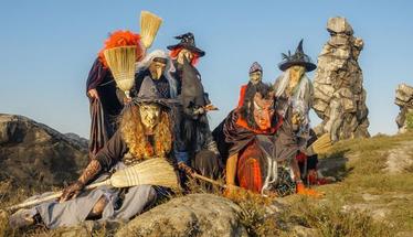 Tagesfahrten nach Wernigerode