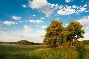 Wildromantisches Selketal