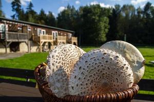 Pilzkorb Pilze sammeln im Herbst