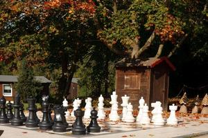 Großfeld Schachspiel im Objekt