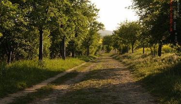 Wanderfahrt Teufelsmauer