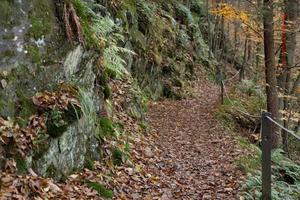 Wildromantisches Selketal