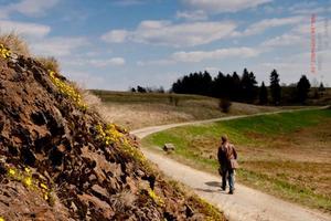 Wildromantisches Selketal