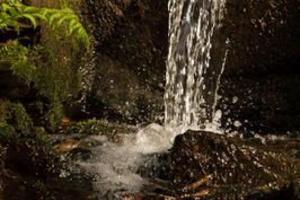 Wildromantisches Selketal