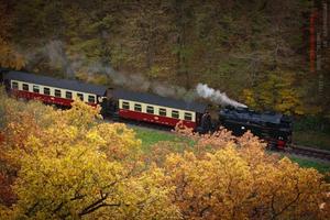 Wildromantisches Selketal