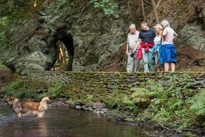 Tagesfahrten nach Wernigerode