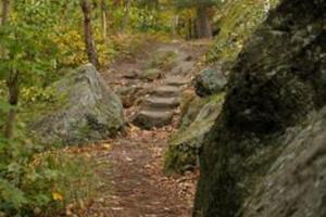 Wanderung Teufelsmauerstieg