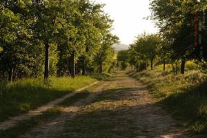 Wanderung Teufelsmauerstieg