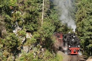 Tagesfahrten nach Wernigerode