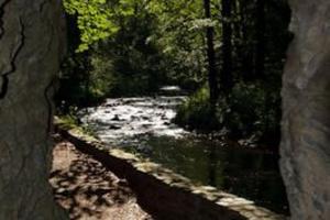 Wildromantisches Selketal