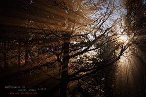 Wandern auf dem Selketalstieg
