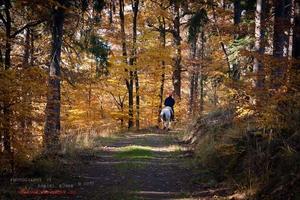 Wildromantisches Selketal