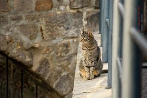 Tagesfahrten nach Quedlinburg