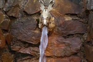 Wildromantisches Selketal