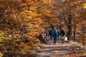 Wildromantisches Selketal